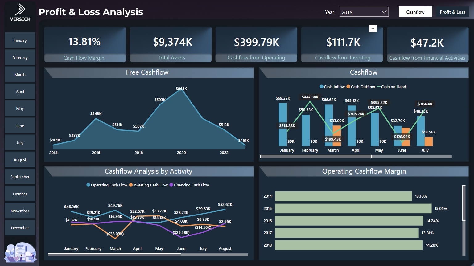 cashflow and profit & loss analysis